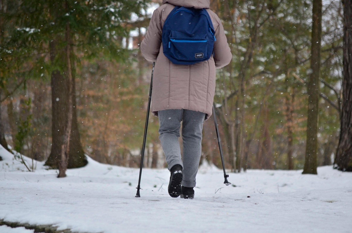    Фото с сайта pixabay.com