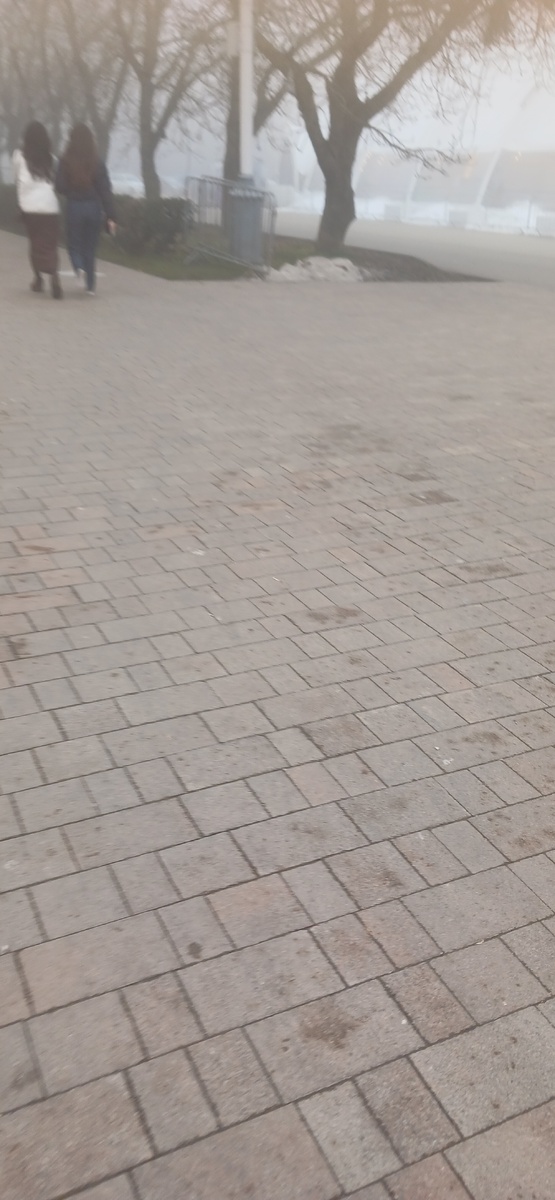 Если что мне есть где начевать 