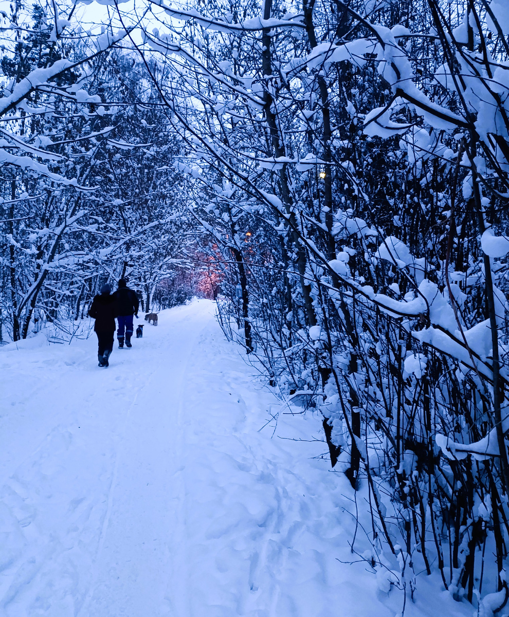 Наша Подмосковная зима