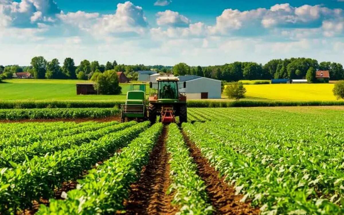    Страховая компания намерена подать заявление о банкротстве липецкого «Раненбурга» Иллюстрация: нейросеть «Шедеврум»