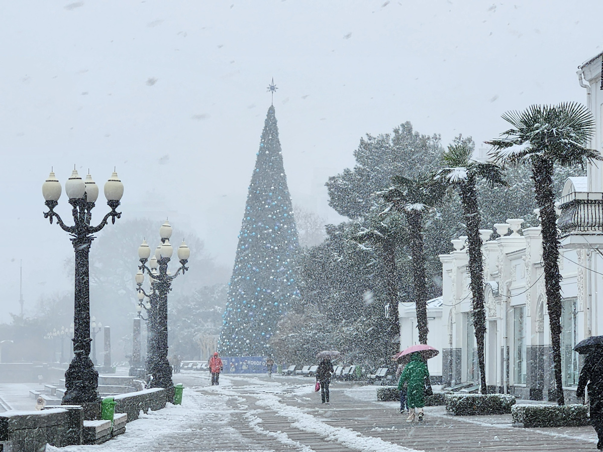 Ялтинская набережная. Конец 2025 года