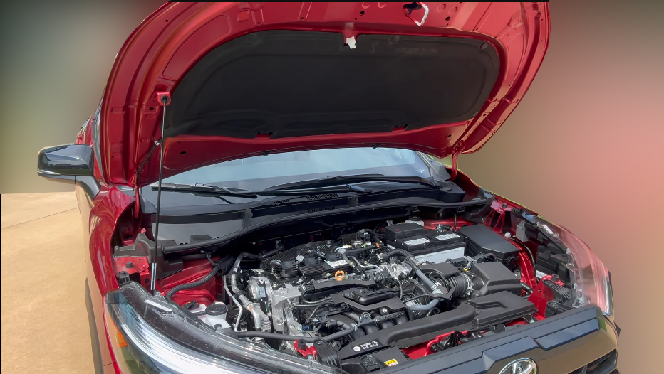 Подкапотное пространство.