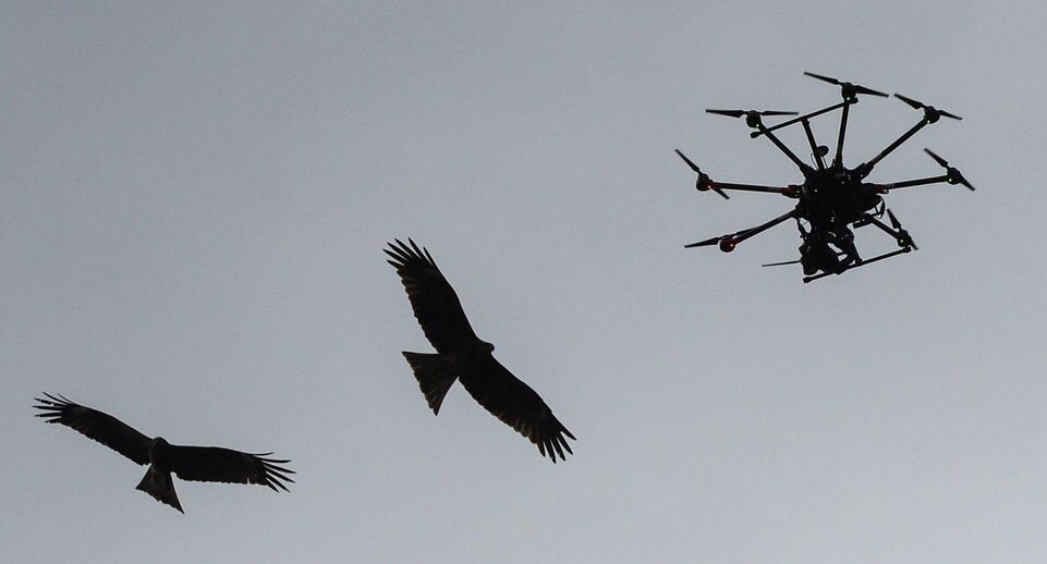    РИА «Новости»