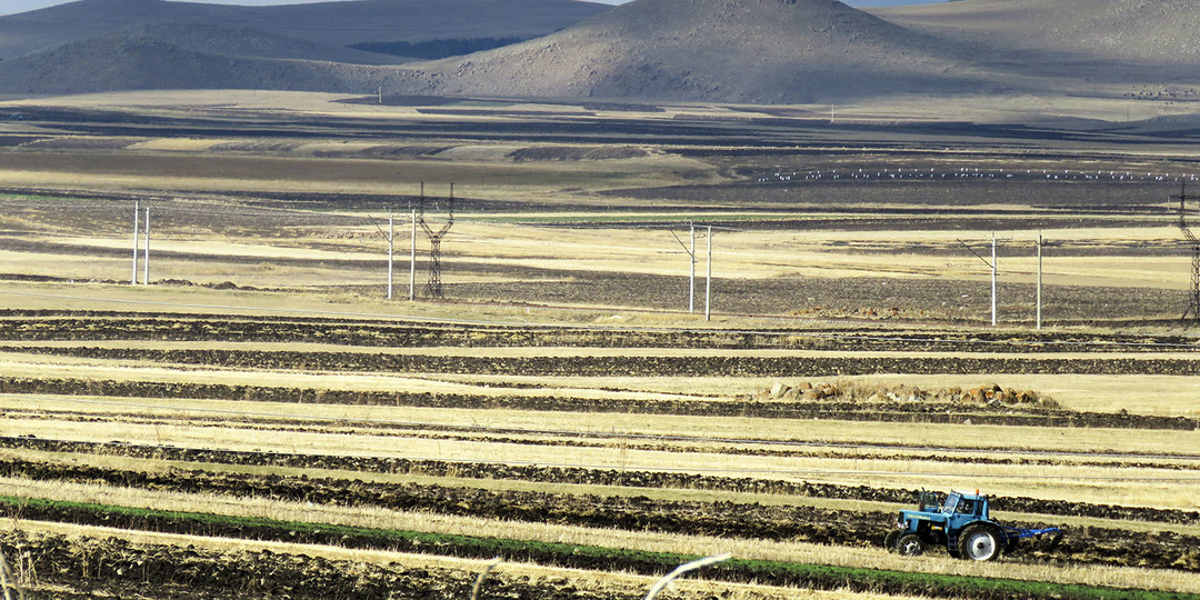 Джавахетия - уголок Грузии, где живут армяне. Как так вышло и что там сейчас?