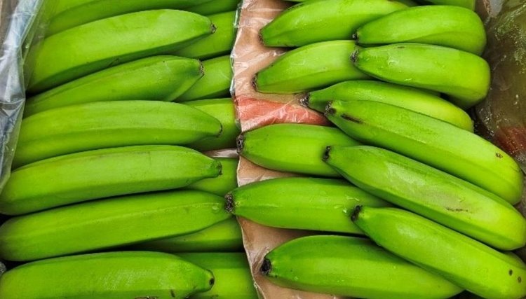    Фото: Северо-Западное межрегиональное управление Россельхознадзора