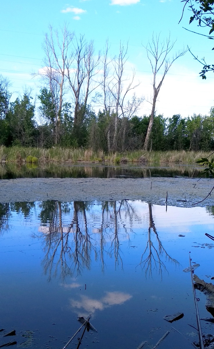 Фото с места событий