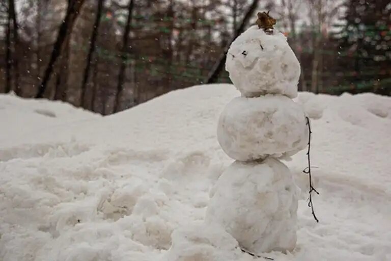    Источник: Александр Ощепков / NGS.RU