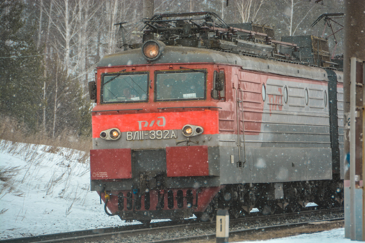Фото: Галина Соловьева, фотоархив «Областной газеты»