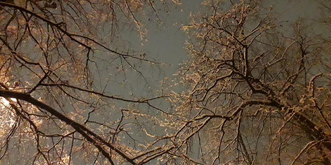 Метель двухтысячного. Заметки подростка