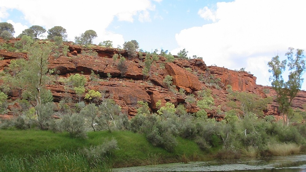     Фото: By Cgoodwin - Own work, CC BY-SA 3.0, commons.wikimedia.org река Финке в Австралии