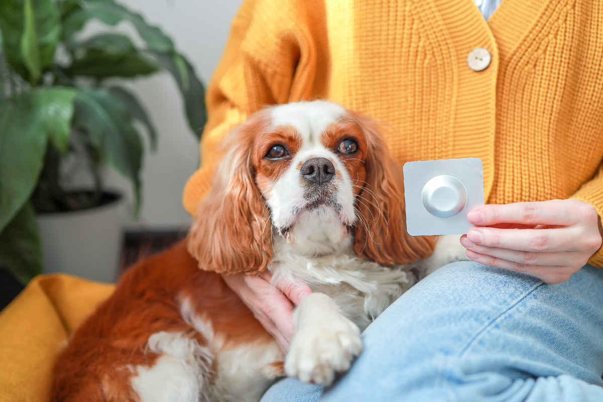 Фото: Shutterstock