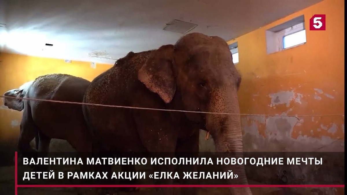 Кадр из видео на 5 канале