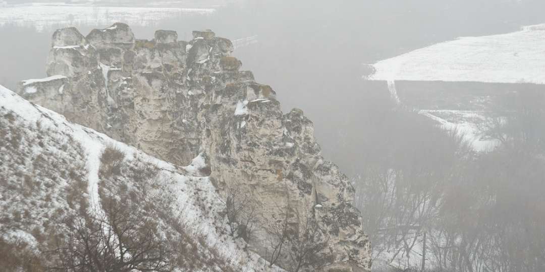 11 января - День заповедников и Национальных парков