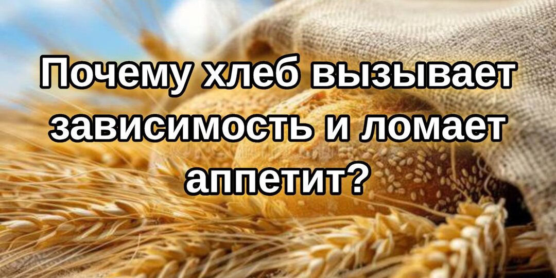 Почему хлеб вызывает зависимость и ломает аппетит?