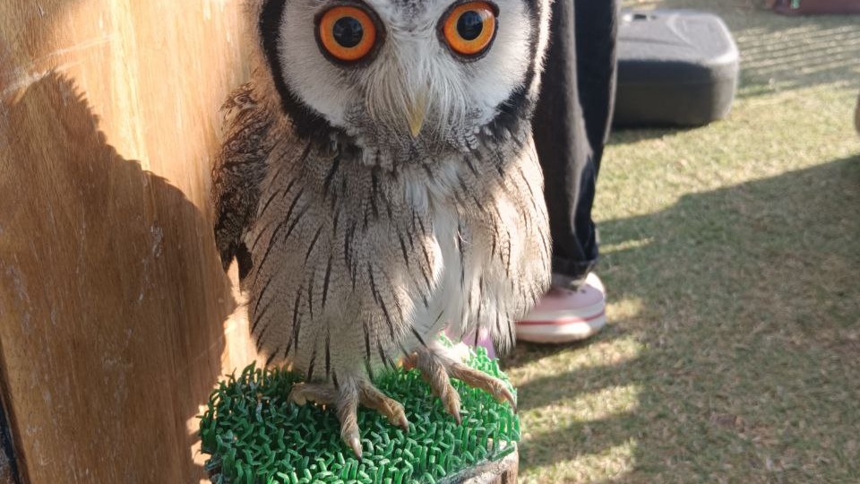 День защиты детей в Тайланде