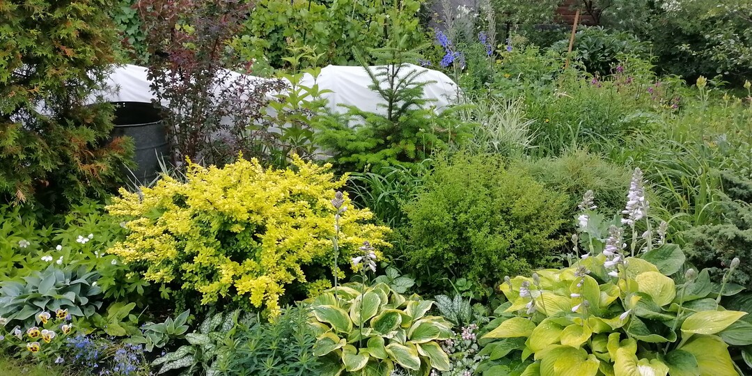 Планирование клумбы на даче: от схемы до подбора растений для идеального цветника. Часть 1