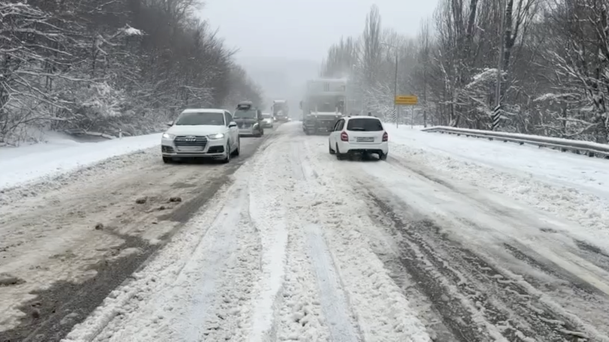    Фото: пресс-служба Госавтоинспекции Кубани
