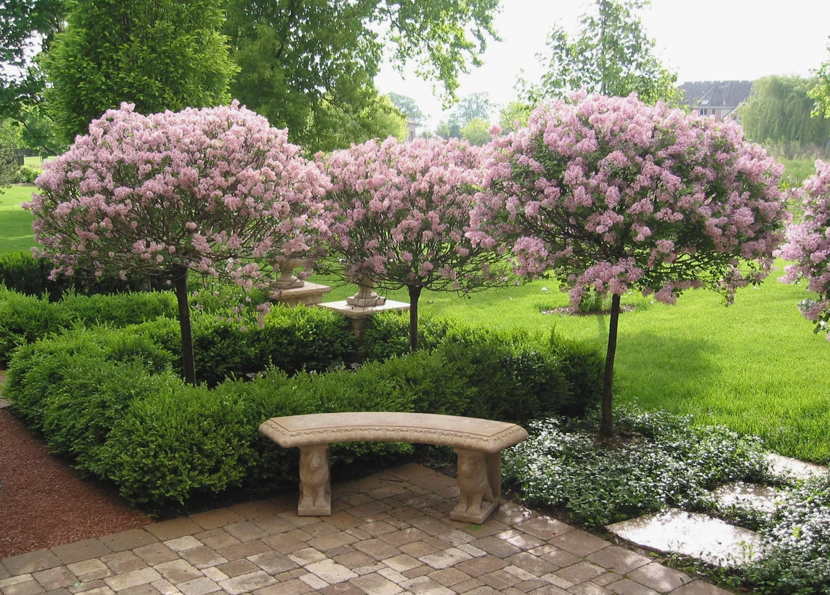 Источник фото: сц-зеленый-дом.рф