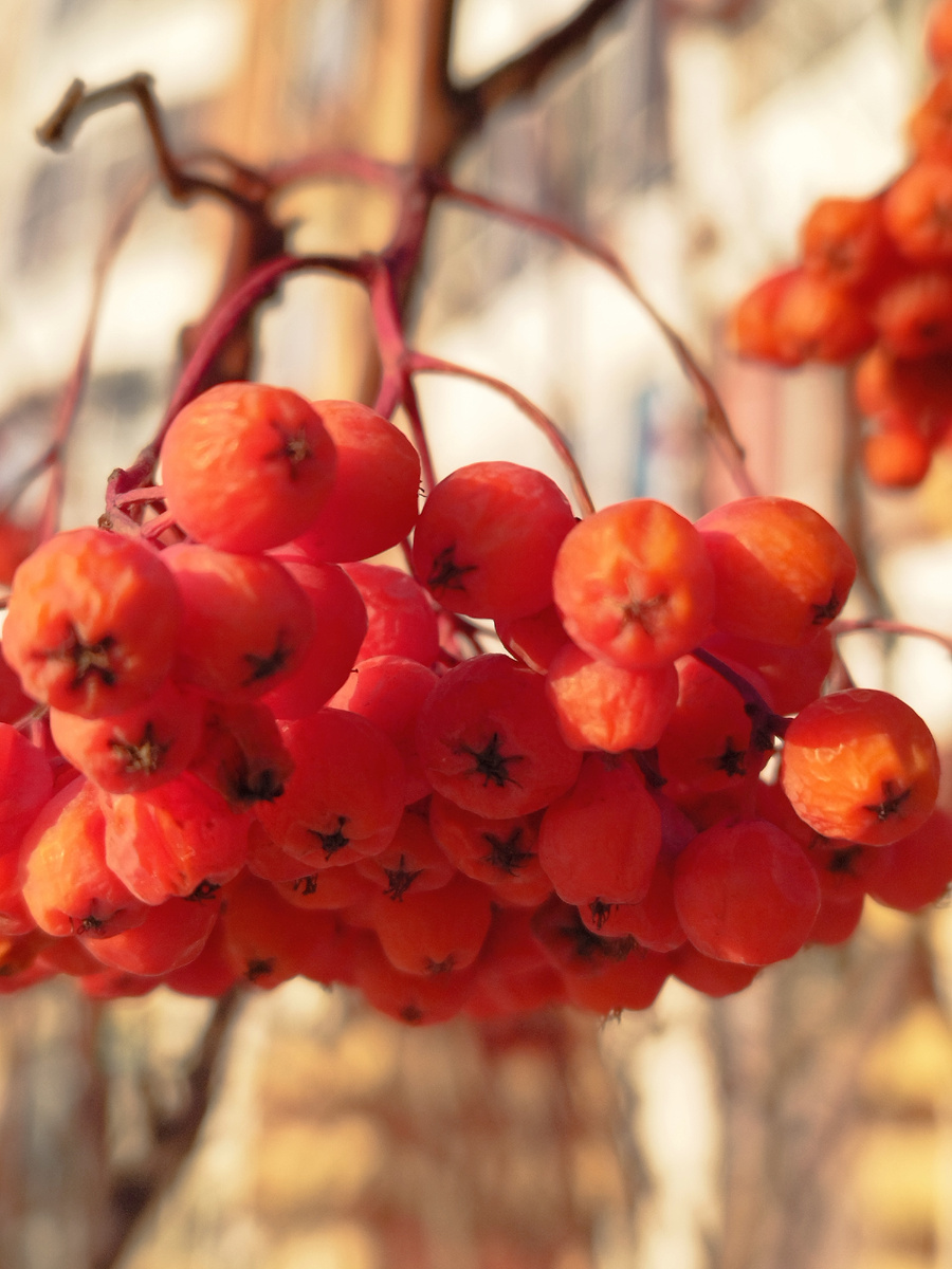 Фото из личного архива автора