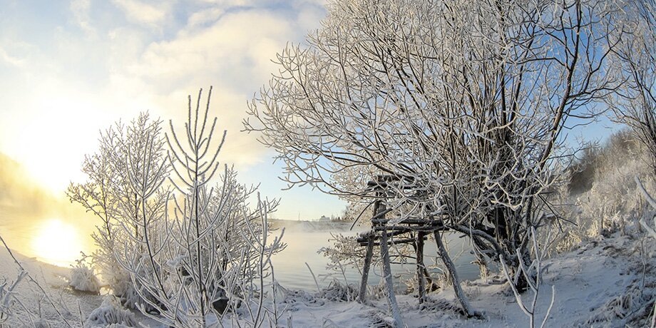    Фото: Москва 24/Лидия Широнина
