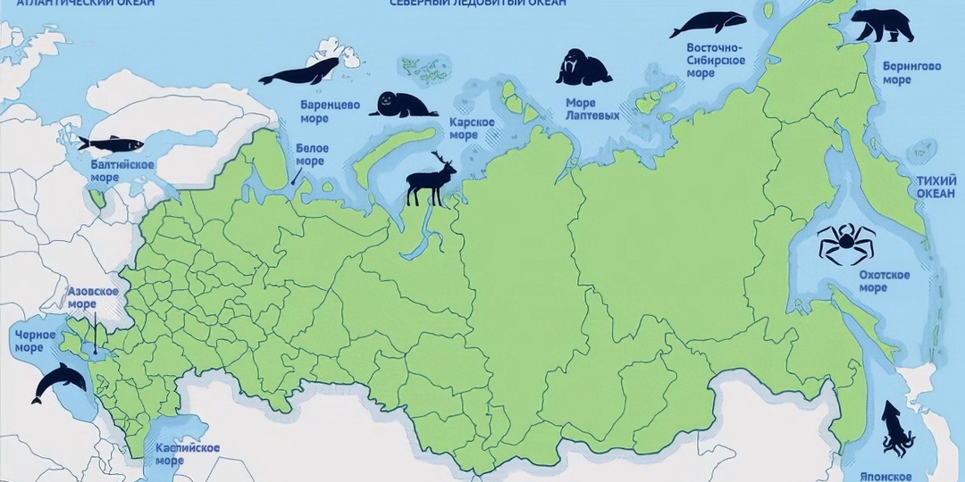 Кто придумал имена российским морям и как они назывались раньше