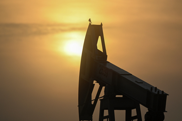 Фото: РИА Новости 