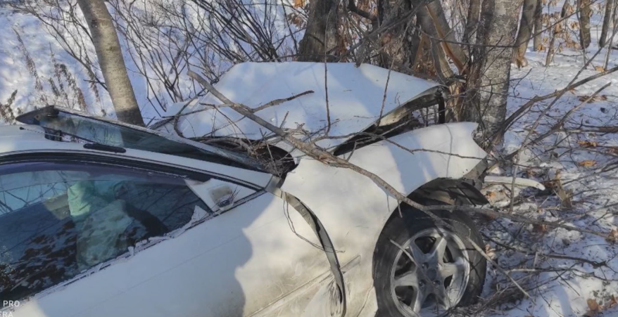    Источник фото: