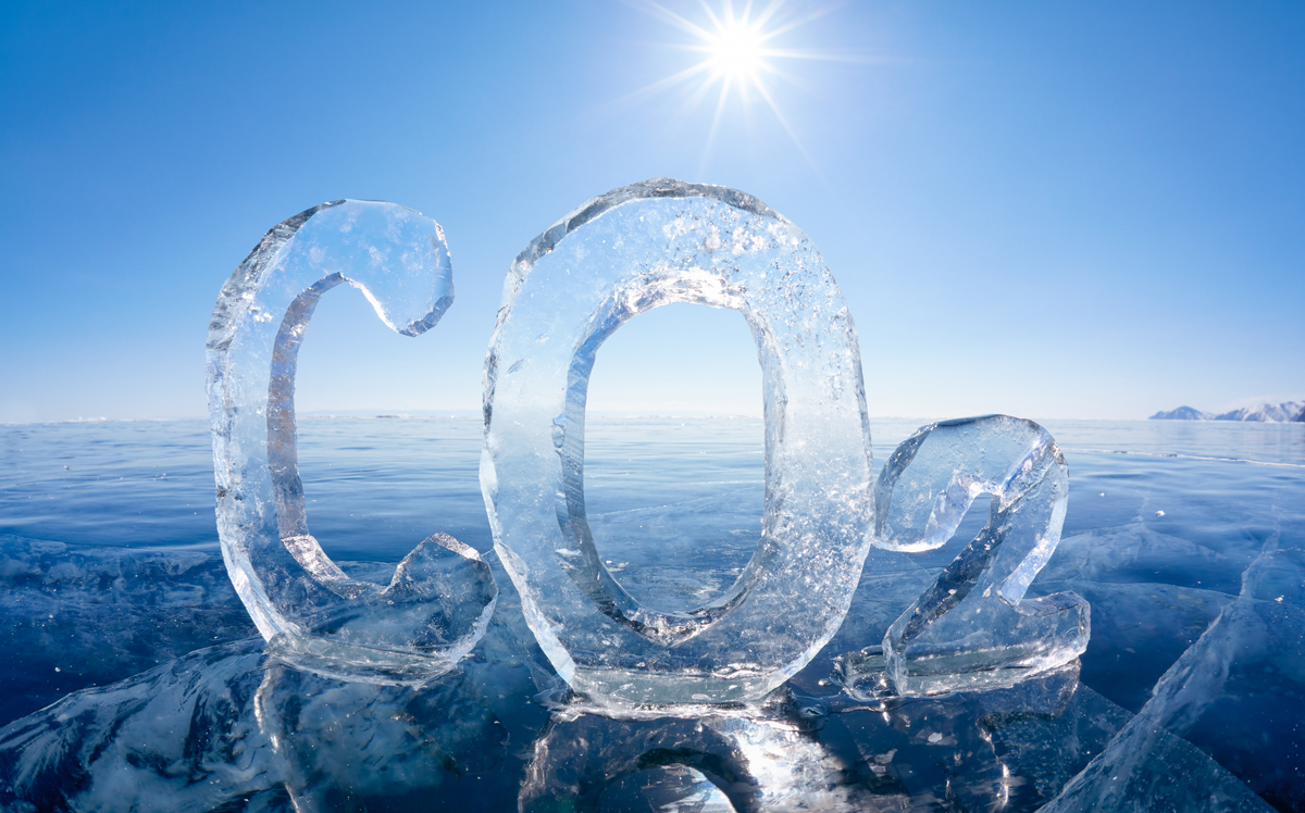 Источник изображения:https://avatars.dzeninfra.ru/get-zen_doc/4979934/pub_61dfc22ccf57454526415acf_61dfcdbe03267516a28201c9/scale_1200