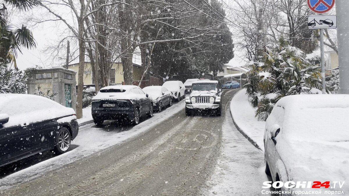    фото: Сочи 24