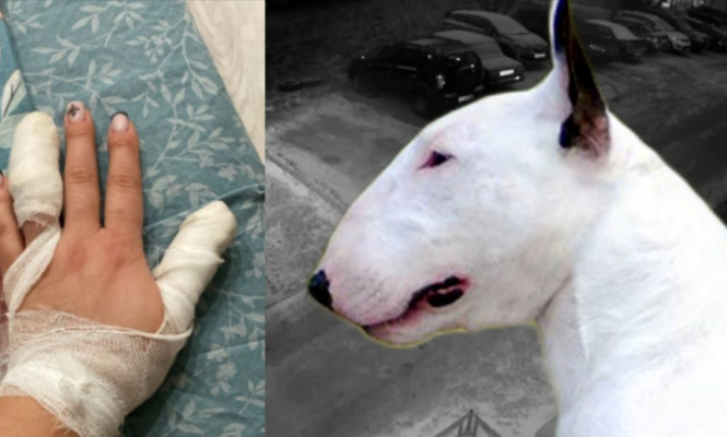    фото: © коллаж Столица на Онего / Подслушано в Питкяранте