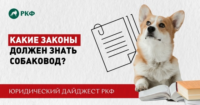 Юридический дайджест РКФ: Какие законы должен знать собаковод? 