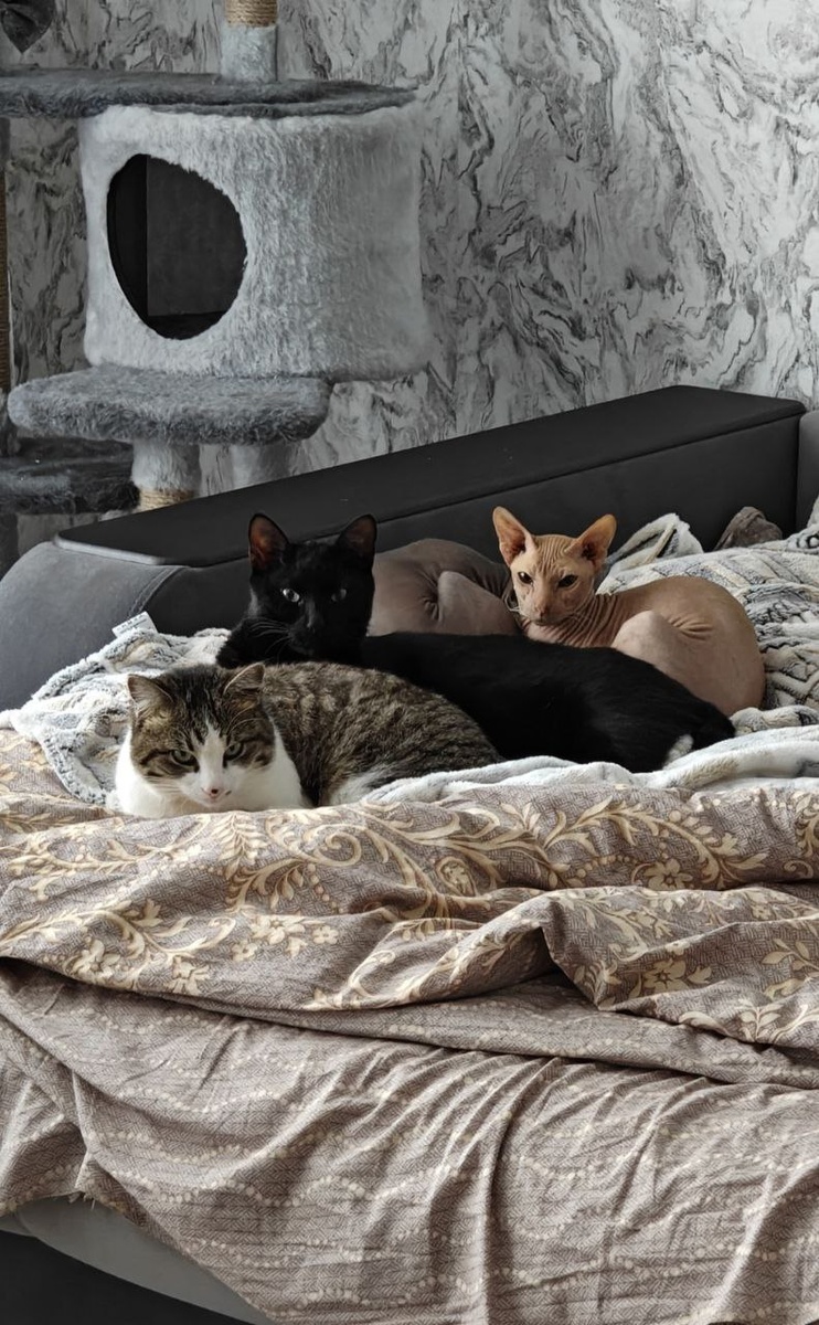 В семье не без Гагарыча - угадайте, кто?)