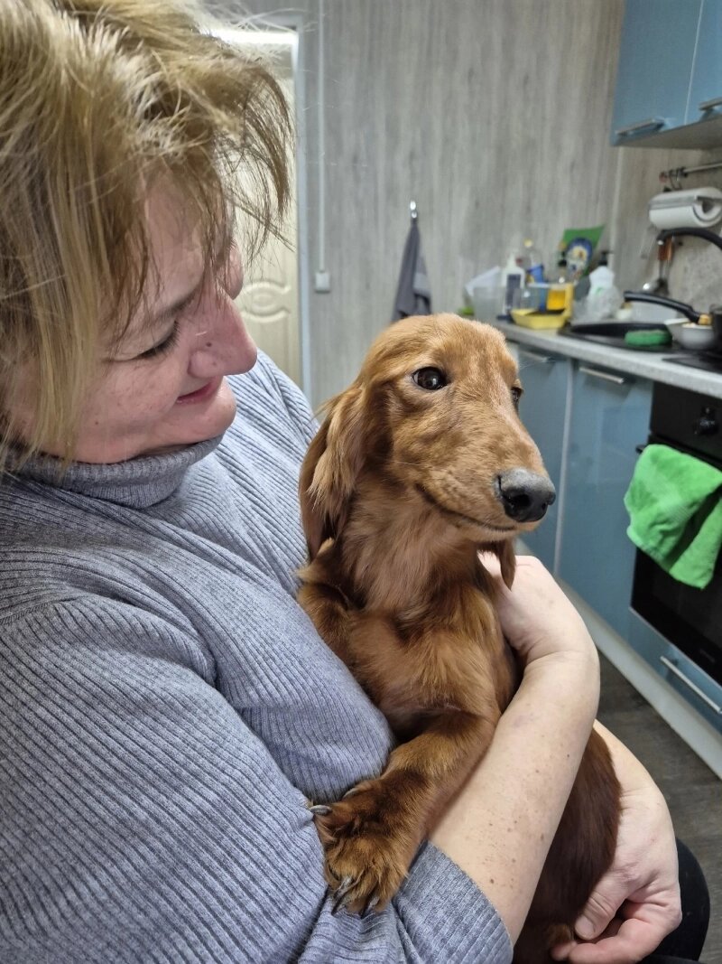    Многие, кто учачствовал в поиске, найденных собак забрали себе Фото: из соцетей приюта Лесопилка.