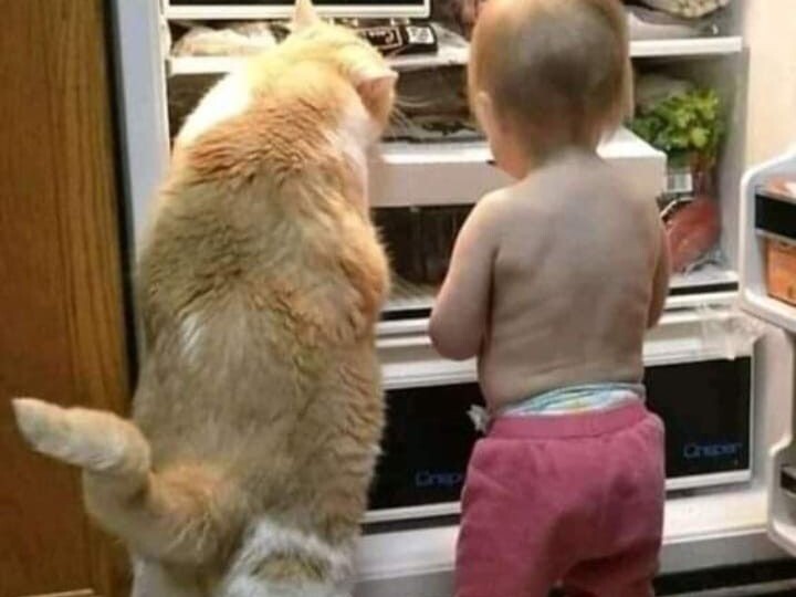 Забавные мемы, новая порция позитива