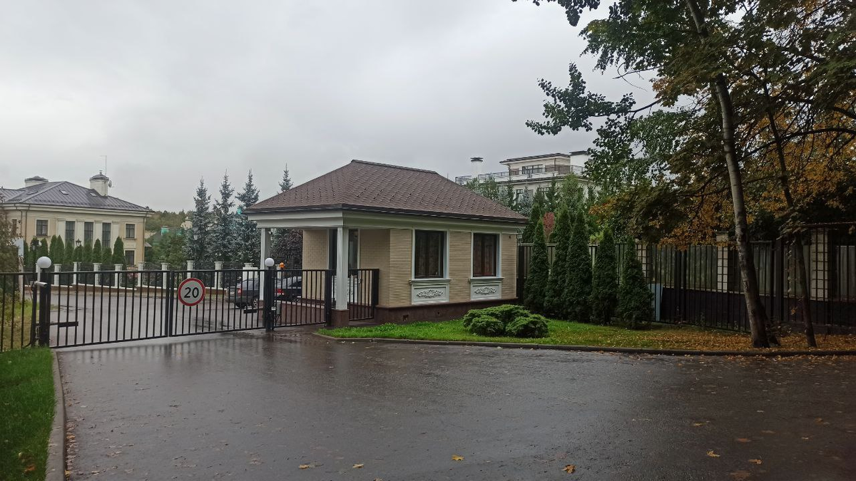 Много зелени