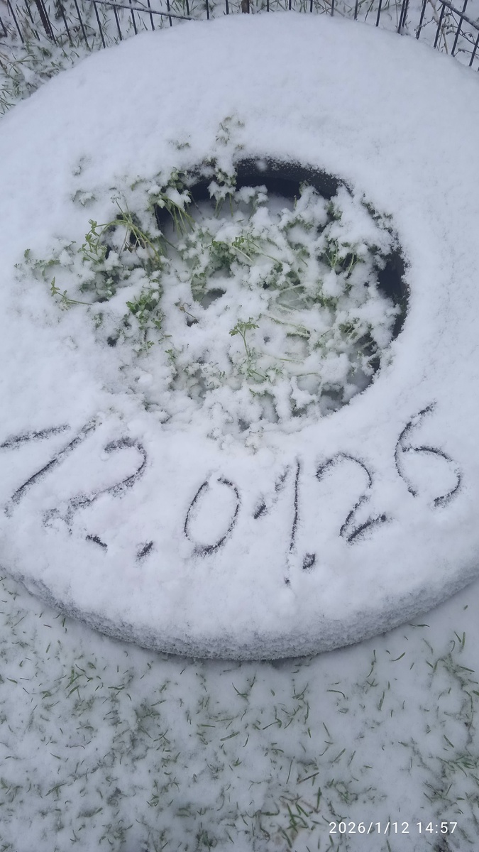 Снег под номером 6 похож на кусочки ваты