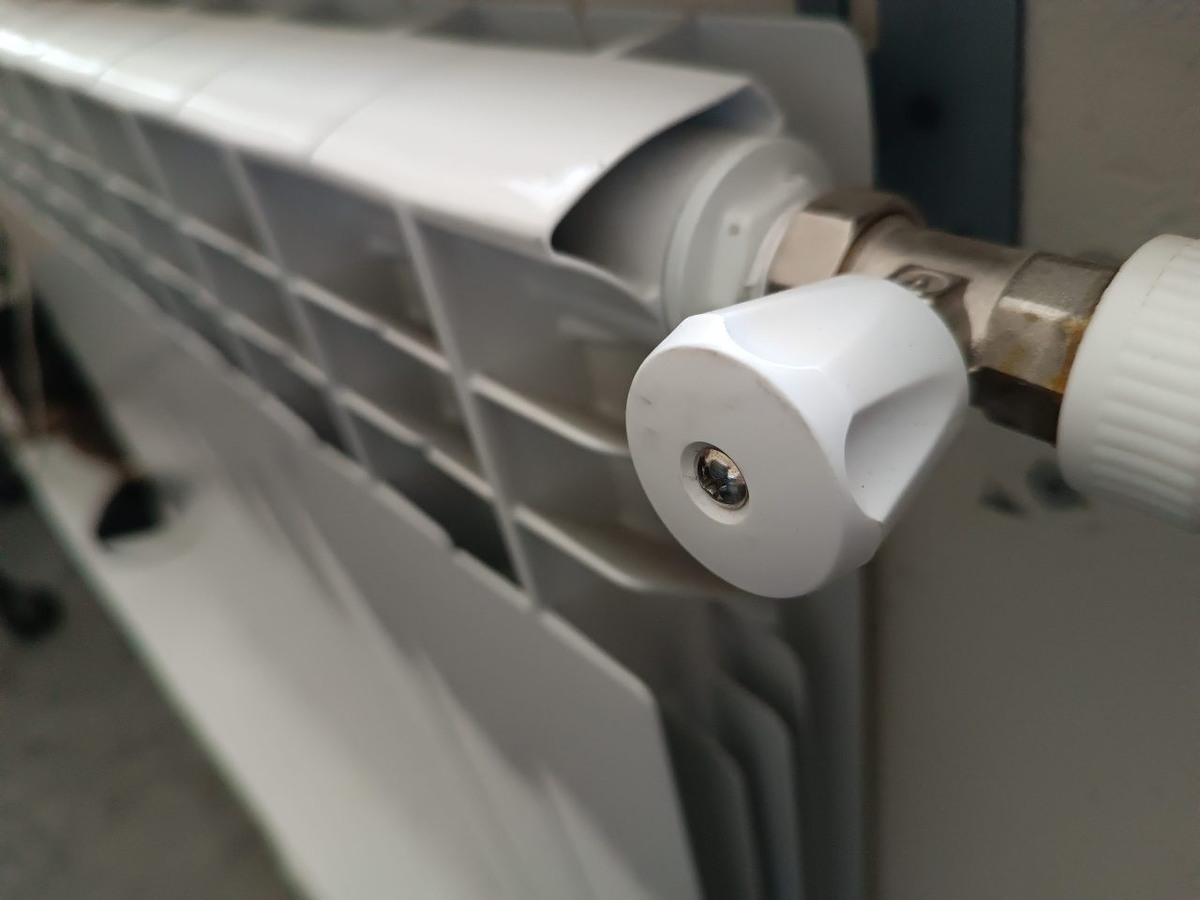     Фото: из архива TV Губернии