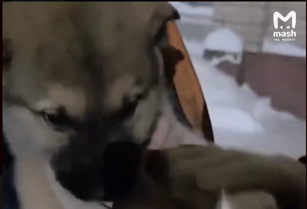 фото: @mashmoyka