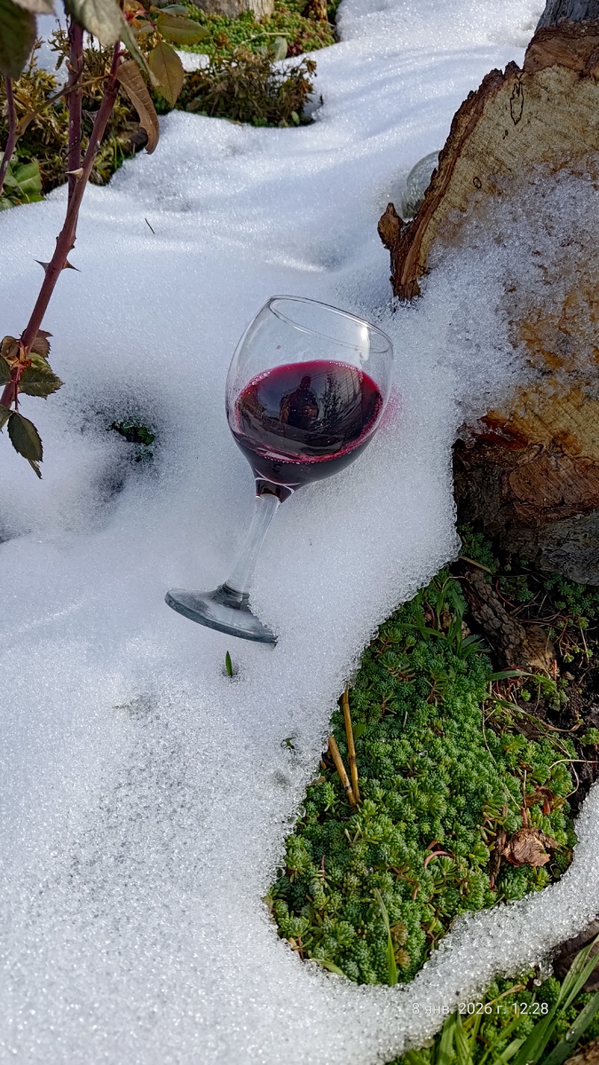 Молдова, первое вино, три месяца.