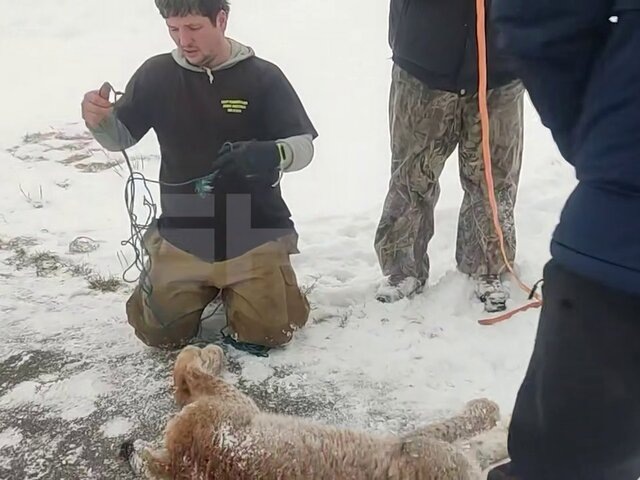    Фото: телеграм-канал SHOT