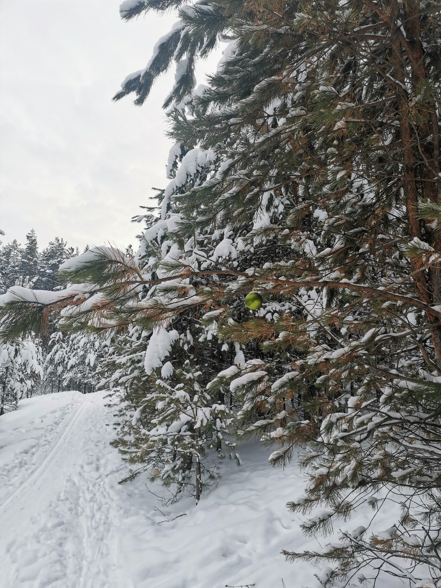 Фото автора. Листай.