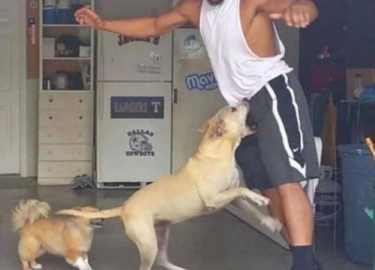 Осторожно: эти 17 фото могут вызвать истерику от смеха!