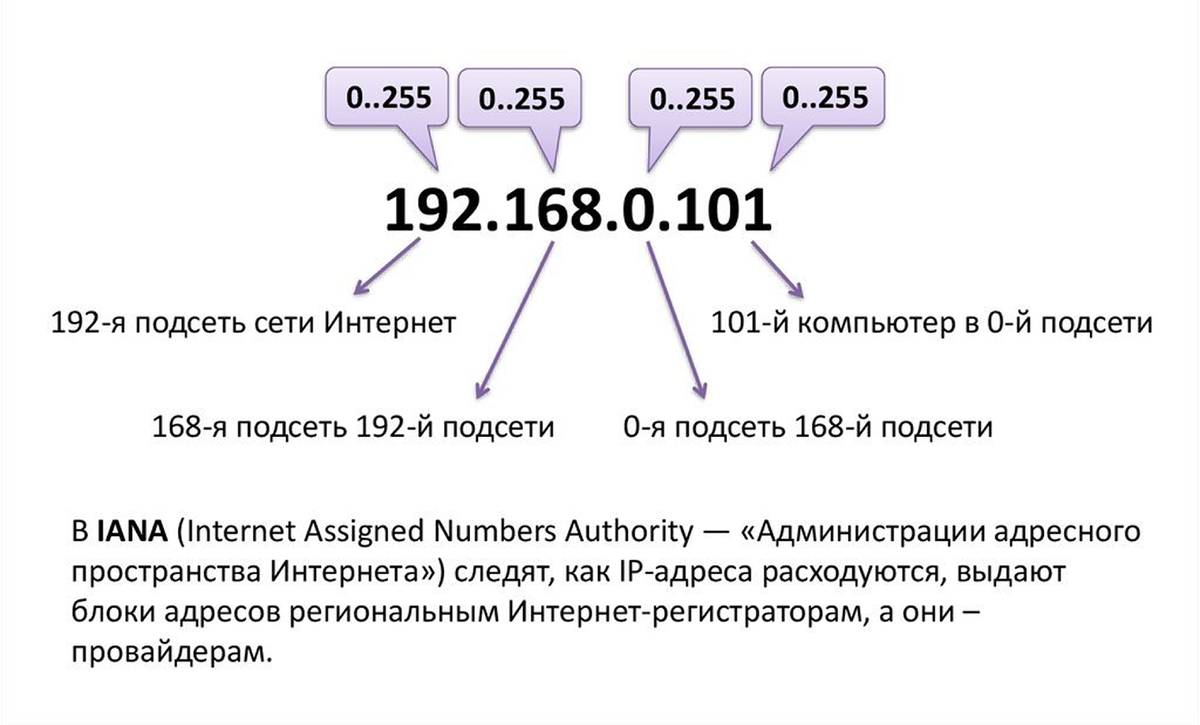 В IPv4-адресе 192.168.0.101 первые два октета (192.168) обозначают крупный блок частной сети, который обычно используется внутри организаций или дома и не маршрутизируется в глобальном интернете. Третий октет (0) указывает на конкретную подсеть внутри этого блока — в данном случае это 0-я подсеть. Четвёртый октет (101) — это уникальный номер устройства (хоста) внутри выбранной подсети, то есть 101-й компьютер или гаджет в этой локальной сети.