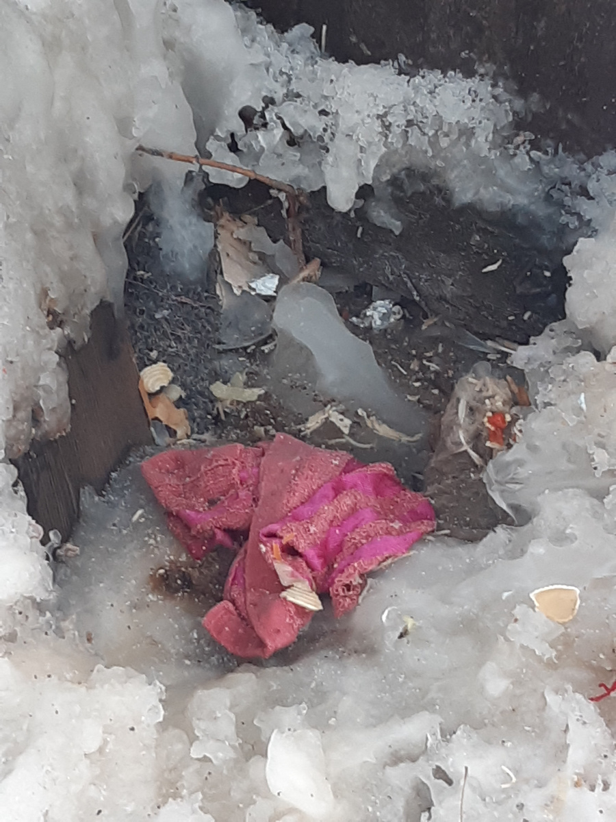 Помойка дома  литеры "ААА" квартир кульсиитова и зайцевой