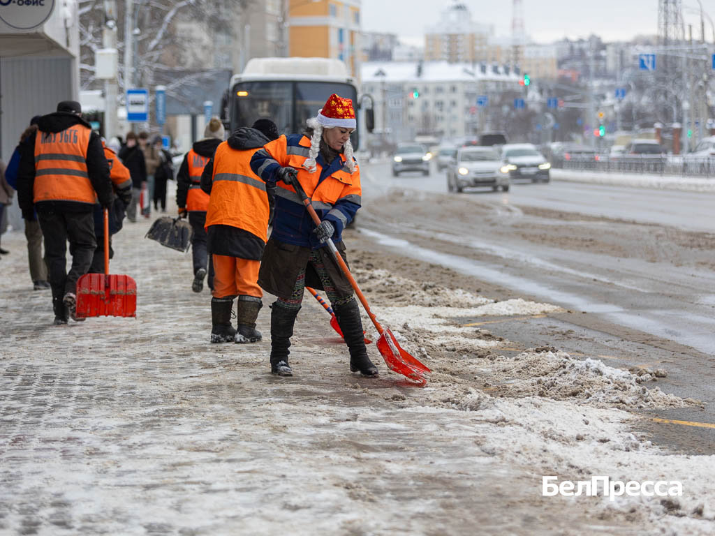     Фото: Алексей Дацковский (архив)