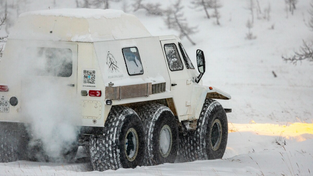    Фото: Сергей Зубков / «Ямал-Медиа»
