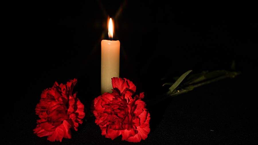    Фото: ИЗВЕСТИЯ/Анна Селина