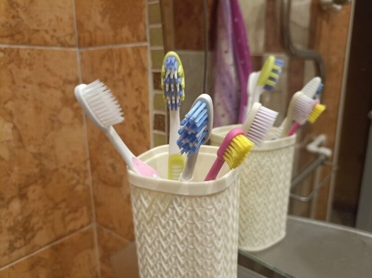     Фото: архив МК в Питере.