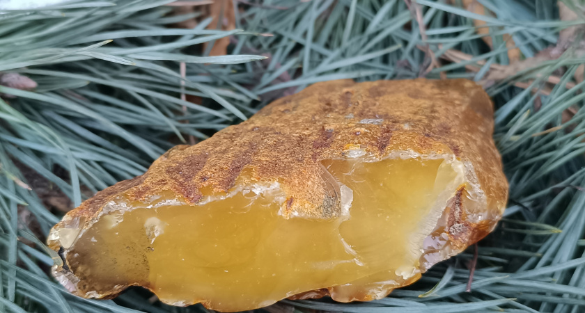    Фото музея "Старый люнет"