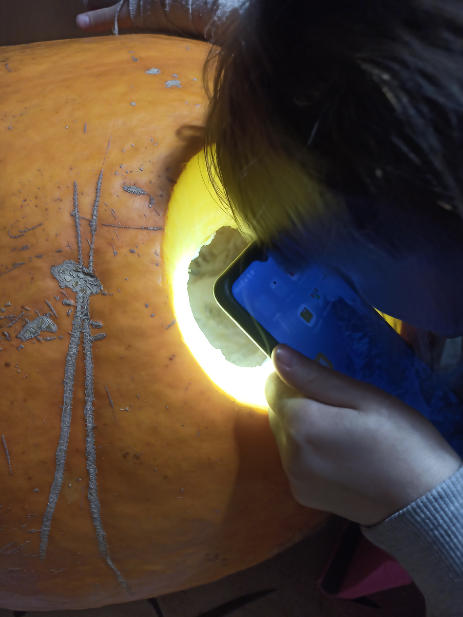 Вскрыли огромную тыкву, Софья с фонариком изучает, как там у нее внутри все устроено. 